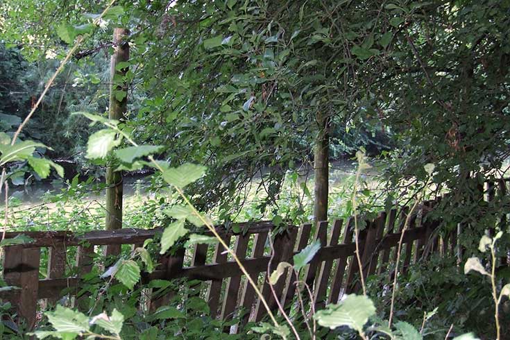 Hof van Eden tuin (van https://www.thecourtofeden.org/de-stichting.html)